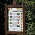 ���������� ���