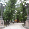 The Patriarch Ponds