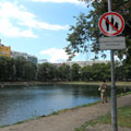 The Patriarch Ponds